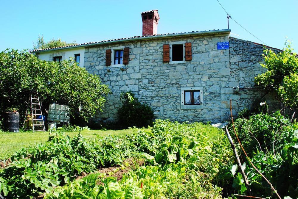 فيلا Casa Anka Gračišće المظهر الخارجي الصورة